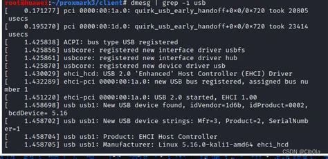 kali linux rfid reader|RfidResearchGroup/proxmark3: Iceman Fork .